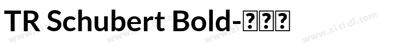 TR Schubert Bold字体转换
